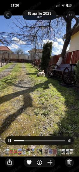 Vand casa urgent ! - 6