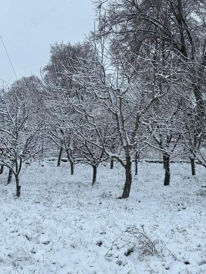 Casa de vanzare in Poiana Marului Cara?-Severin - 2