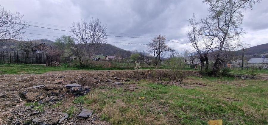 TEREN GURA VITIOAREI - 8