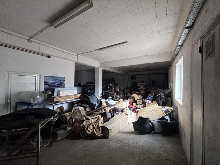 Depozit/Spatiu productie de vânzare – zonă cu acces TIR - 50