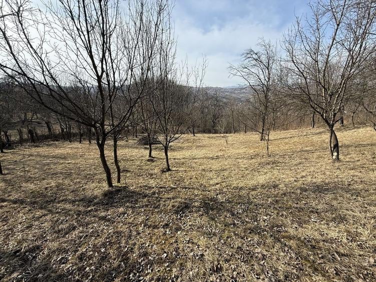 Teren intravilan 2788 mp deschidere 55 ml cu vedere panoramica ! - 7