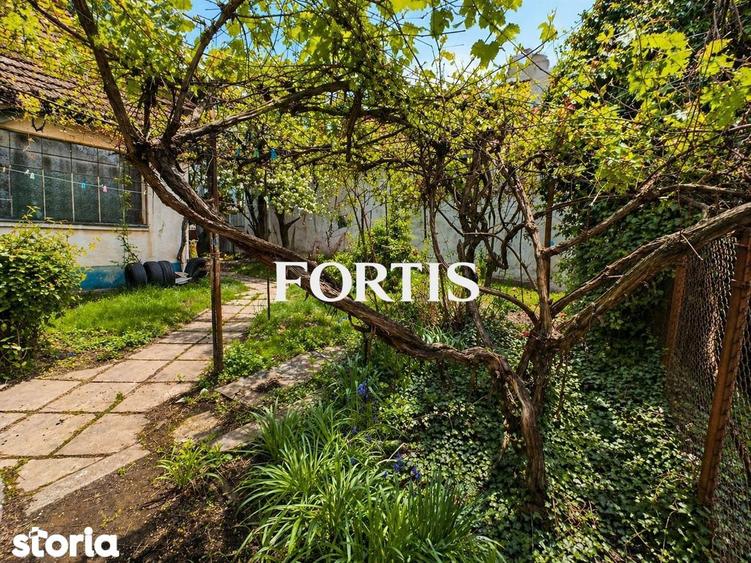 Casa de vanzare in Fagaras, zona 13 Decembrie 0% COMISION - 8