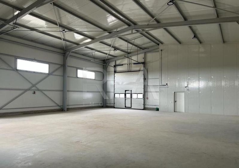 Hala de inchiriat in Domnesti / Centura - 1