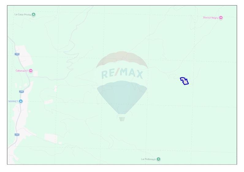 De vânzare teren intravilan 10,100 mp, cu anexă, Munteni - 3