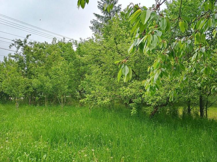 Teren de vanzare Frasin, Gura Humorului - 3