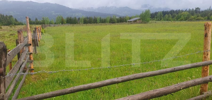 Teren Construcții extravilan de 6200 mp, în Vatra Dornei