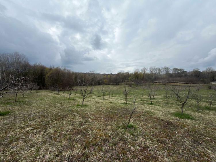 Teren / gradina de vanzare in Barbuletu, judetul Dambovita 8055 mp - 8