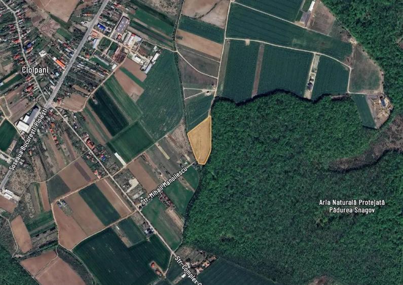 Vand lot teren la padurea Snagov - 4