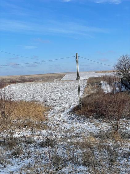 Teren  extravilan 10.800mp, Horlești, utilități disponibile - 1