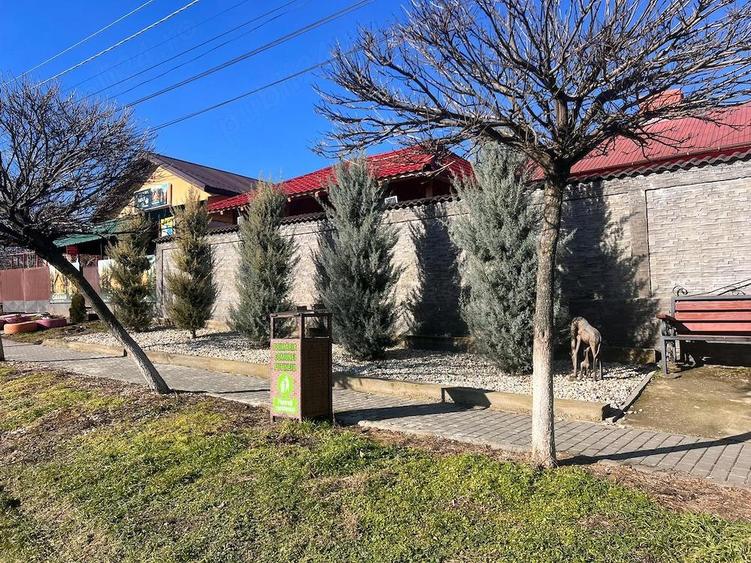 Casa de vanzare an putineiu judetul giurgiu - 5