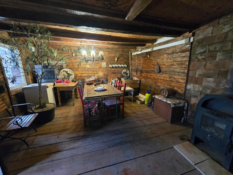 Mosnita Veche- Vila 2 apartamente- Teren 1100 mp - 5