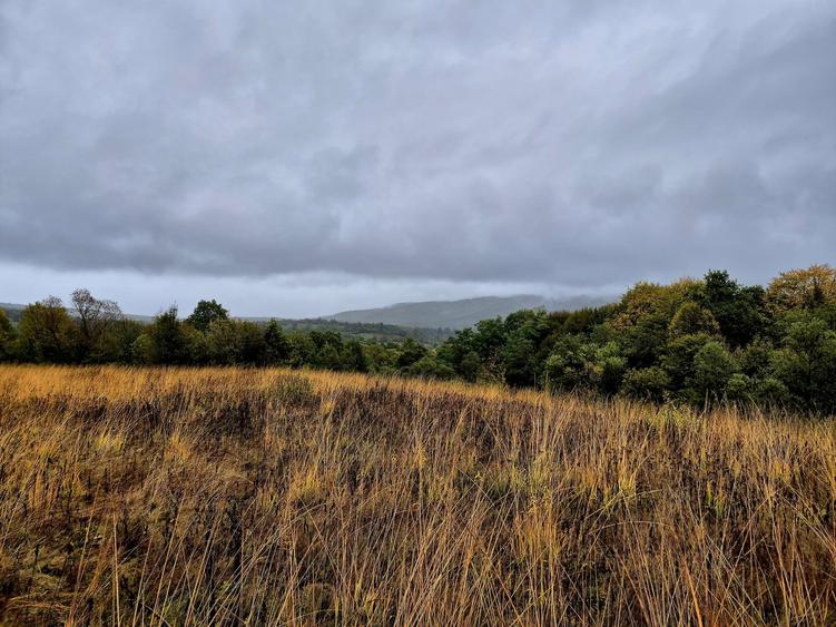 Comision 0%, teren extravilan 12497 mp Sinca Noua - 1