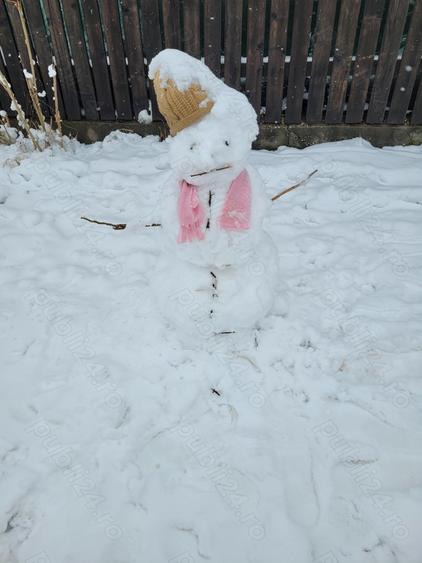 Vand casa cu teren la 65 km de Bucuresti,s-au schimb cu ap 3 camere Bucuresti - 2