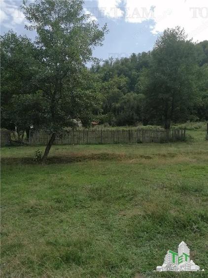 Teren intravilan - Berevoiesti - Arges - 2