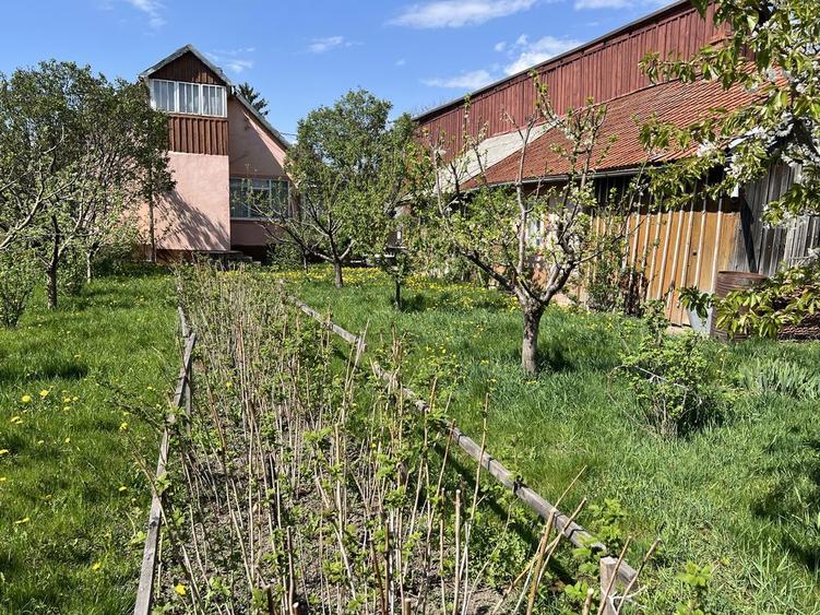 Casa de vanzare pe colt Radauti- zona selecta centrala - 5