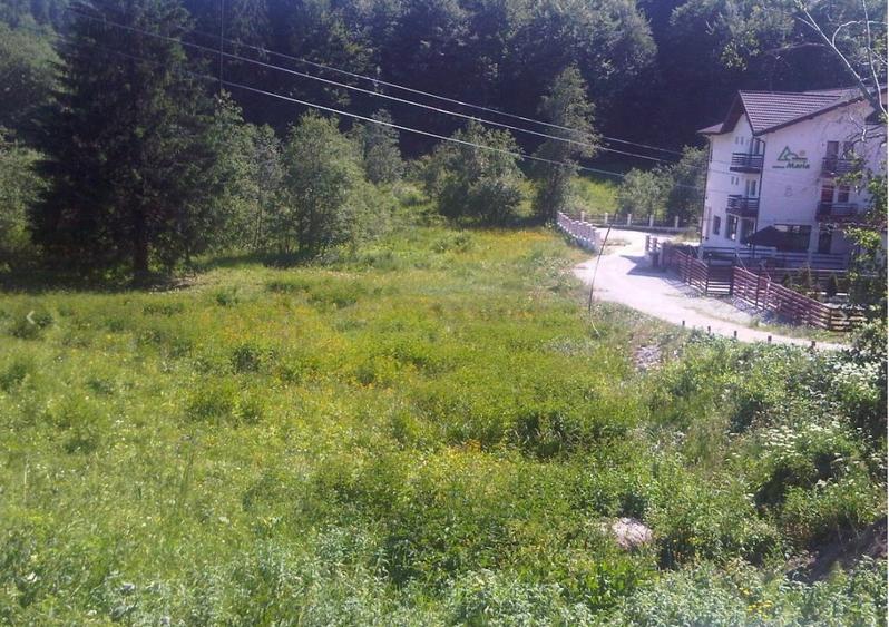 Teren zona Cheile Rasnoavei, Judet Brasov - 1