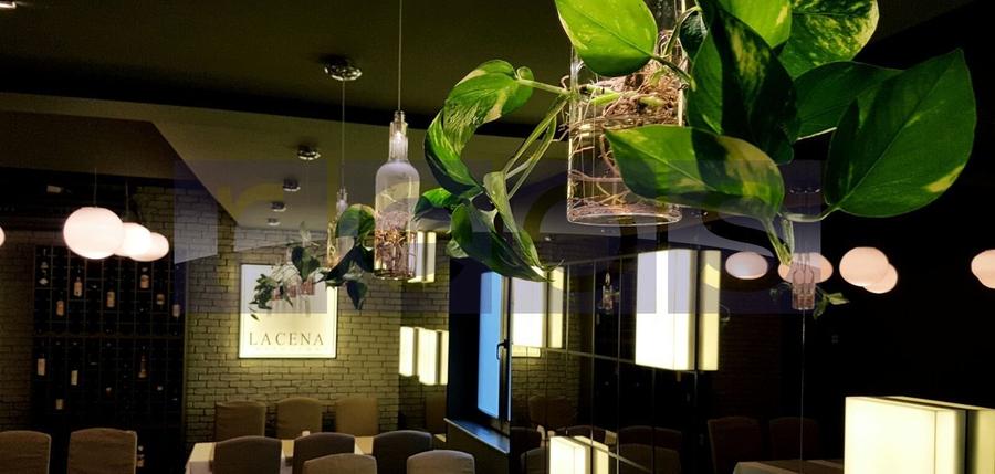 OPORTUNITATE VANZARE - INCHIRIERE VILA RESTAURANT | GRADINA ICOANEI | - 5