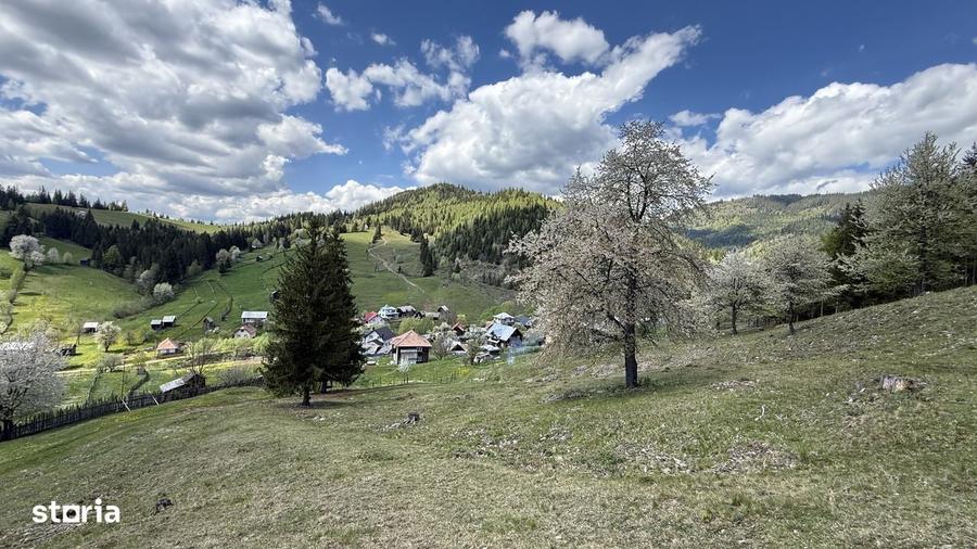 Teren 1.29 ha + 1 ha padure, acces usor - 5