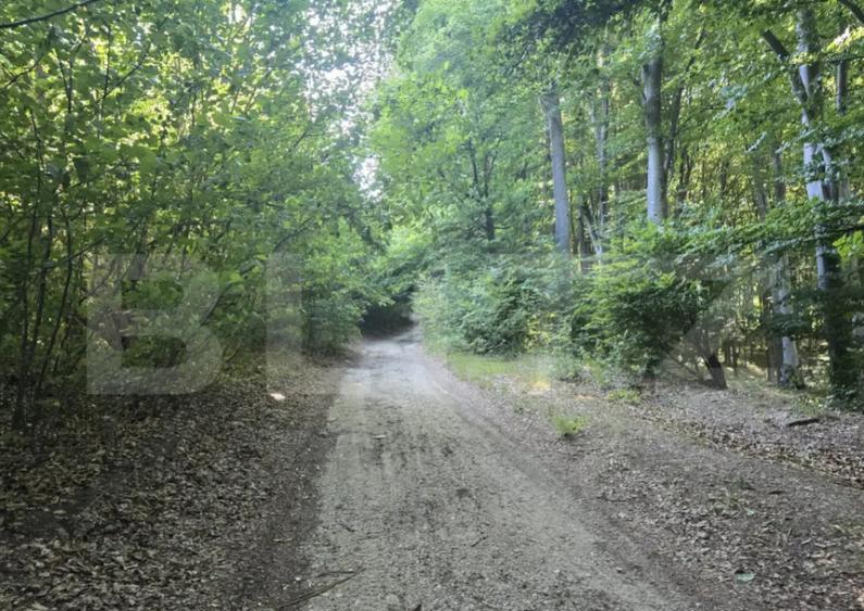 Teren la liziera padurii Faget - 6