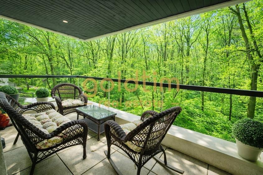 VEDERE LIBERA/PADUREA BANEASA/PIPERA/FORREST HILL/PARCARE INCLUSA - 2