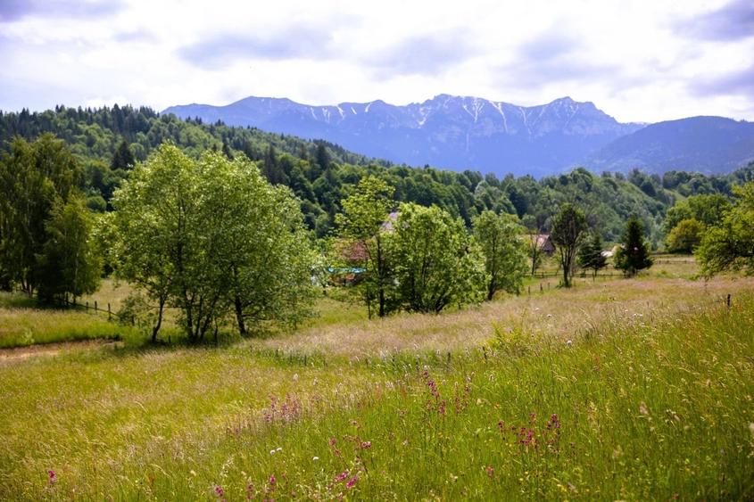 Teren intravilan - 1.050 mp în Bran cu utilitati – priveliște Bucegi - 2