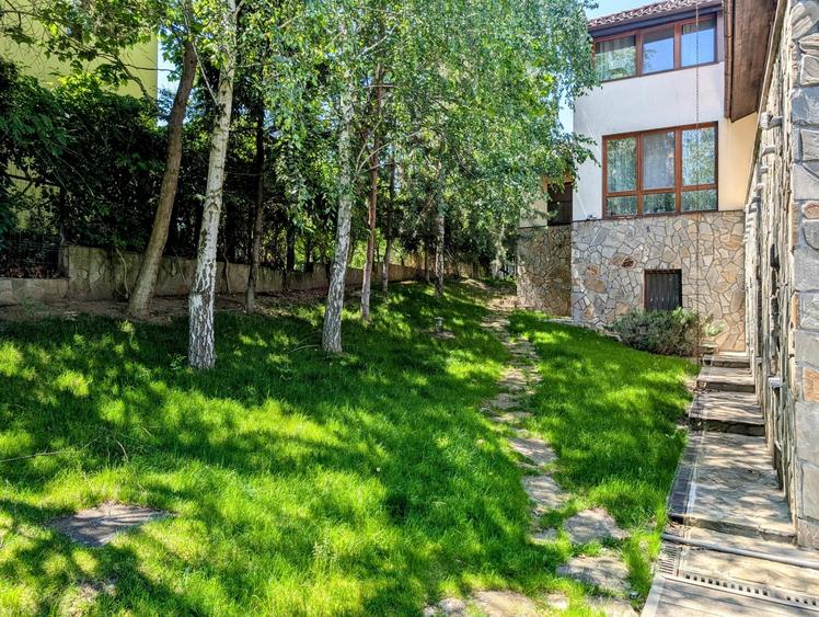 Mogosoaia,vila robusta cu vedere spectaculoasa catre lac,palat,parc,1750mp teren - 8