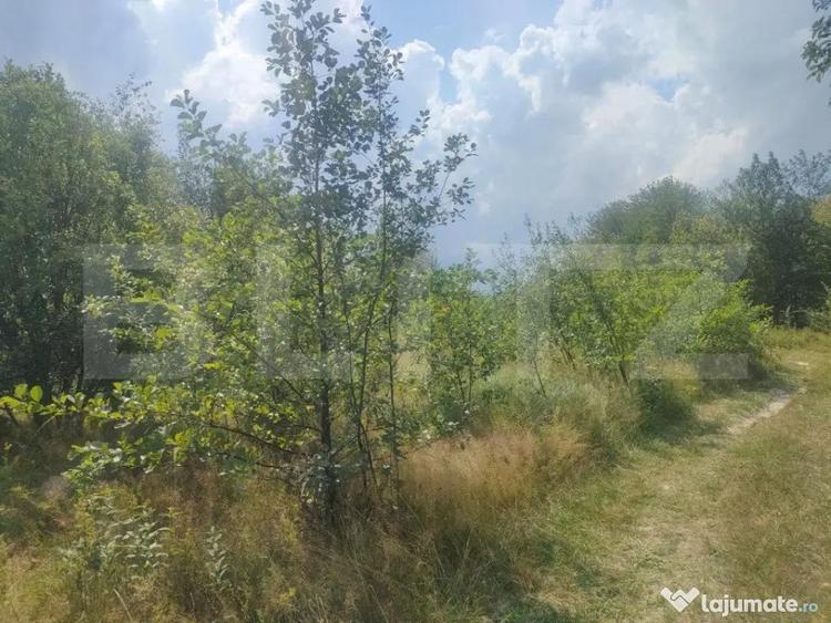 Teren intravilan, 5857 mp, Baltati, Horodnicu de Sus - 5