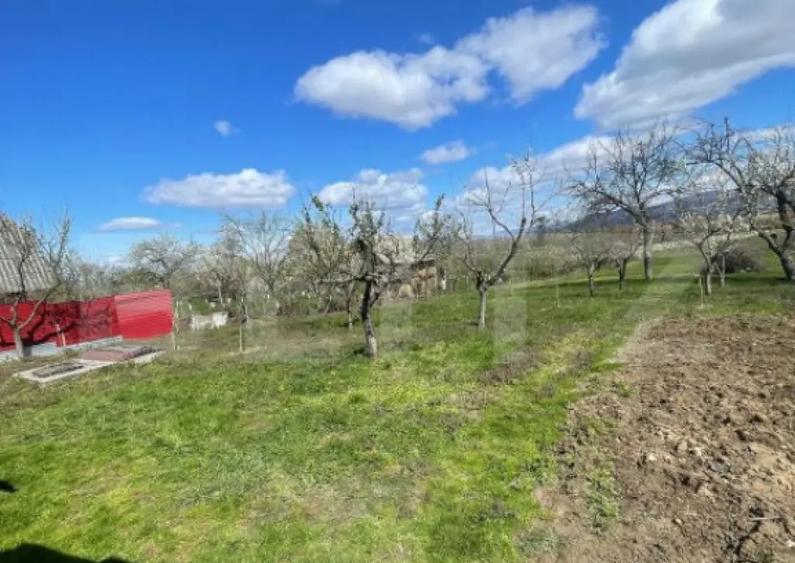 Casa cu 3 camere, 90 mp, 2 anexe gospodaresti si teren de 30 - 7