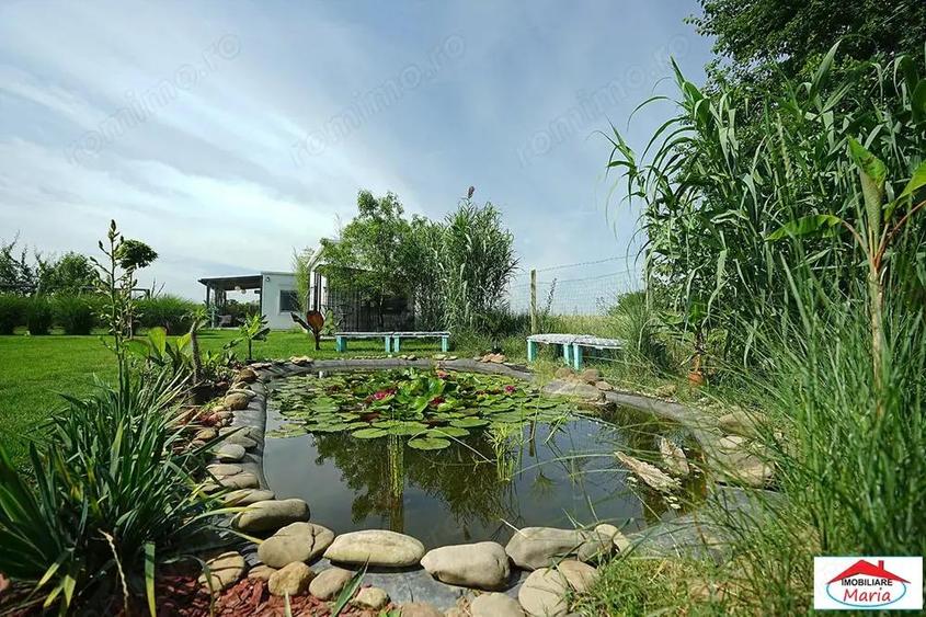 Casa cu teren 10 arii cu casa pe cadre metalice zona Panait Cerna - 8