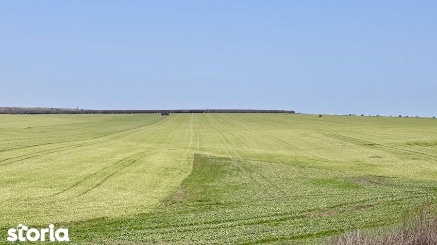 Avans 500 euro - Teren de investitie la Mare! Statiunea Costinesti 444 - 11