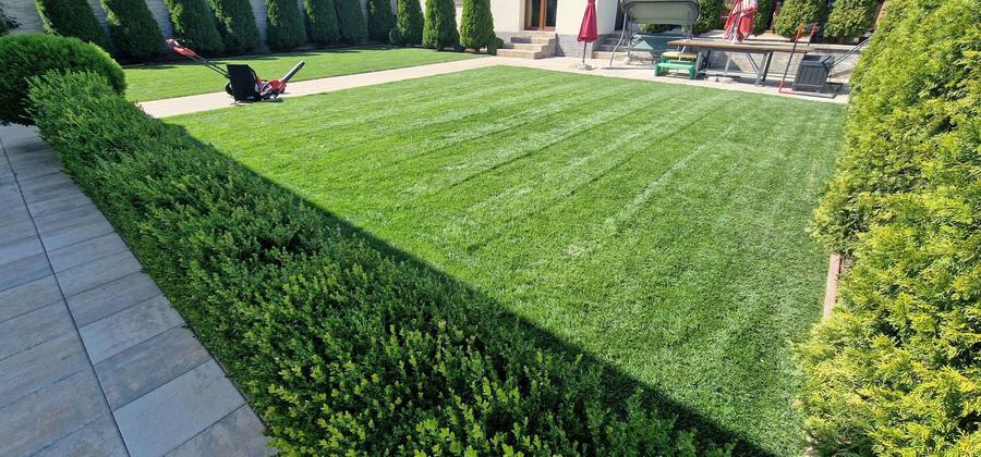 Casa an constructie 2017 - 2