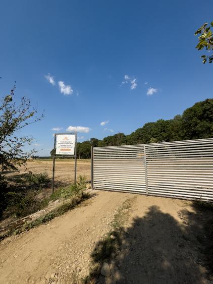 Lot de teren, Izvorani, Snagov! Deschidere la padurea SNAGOV- super promotie - 5