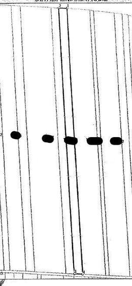 Teren extravilan Liesti, ID: R2942565 - 1