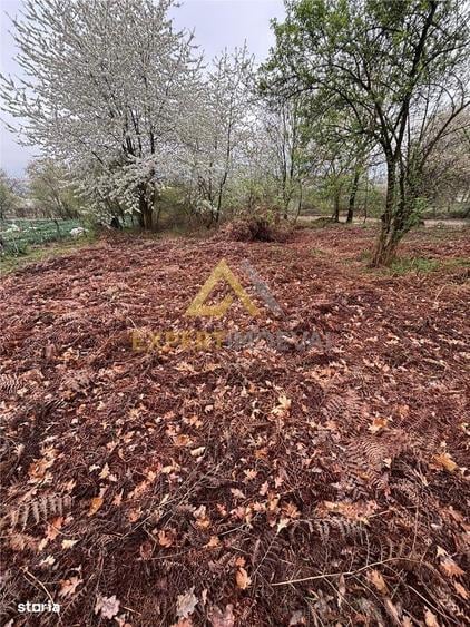 Teren intravilan in spate la Castel Transilvania 1.000mp - 4