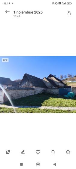 Casa saseasca autentica - 5