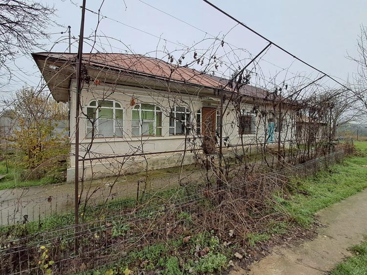 Casa de vanzare (inclus teren 5000 mp) - 1