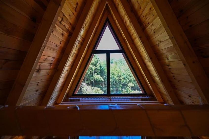 FILM! Case mobilate,echipate,5.700mp teren, rezidential/investitie,Bran, Moieciu - 19