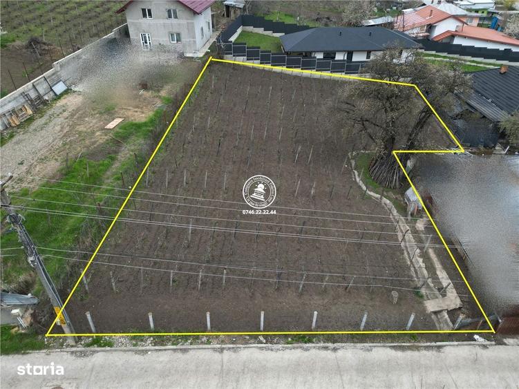 Teren intravilan 842 mp , asfalt , toate utilitatile - Valea Lupului , - 2