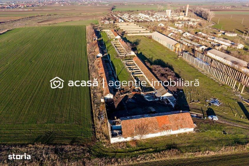 NADLAC | Teren 1.15 HA langa Autostrada | 2.500mp Hale - 5