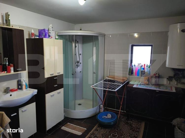 Gospodarie deosebita, casa de locuit, spatiu comercial, 155 mpu si 200 - 10