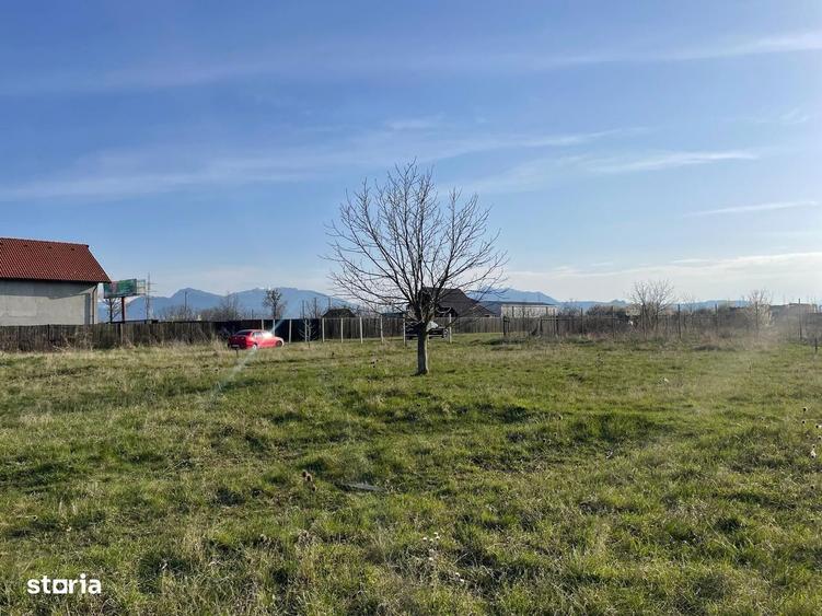 Teren intravilan de vanzare - Harman - 1000 mp - 6