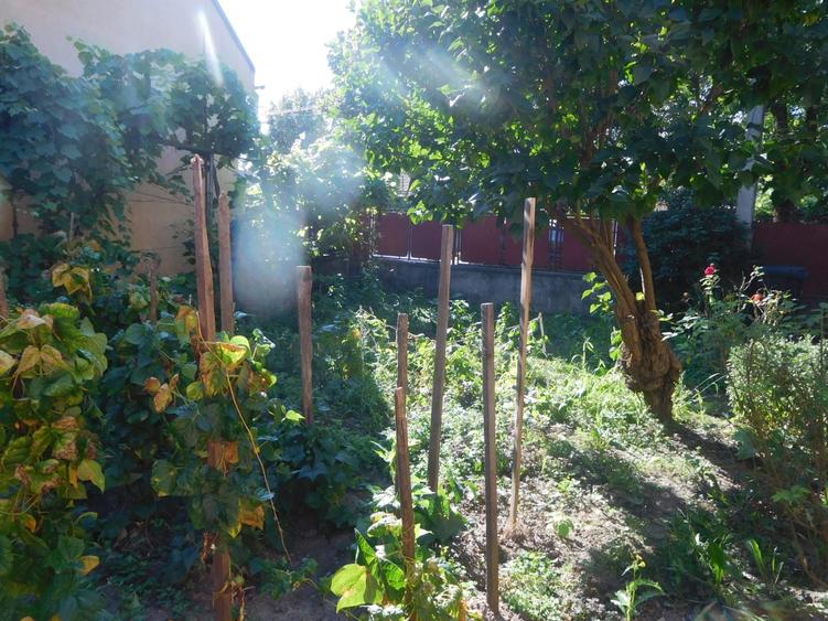 Vanzare casa individuala + teren in cart Iris - 4