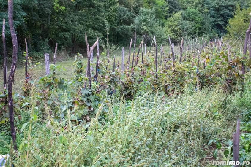 Vand TEREN ?i casa in satul Costeni, comuna Tismana, jude?ul Gorj. - 1