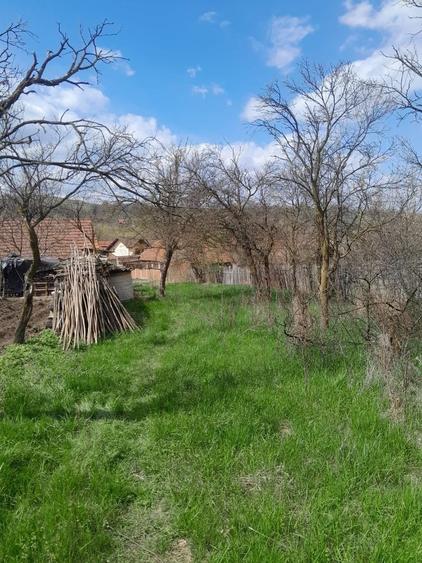 Teren de vanzare in Vaidei - 4