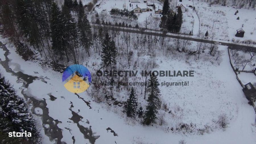 Teren 2283 mp Tarcau - 3