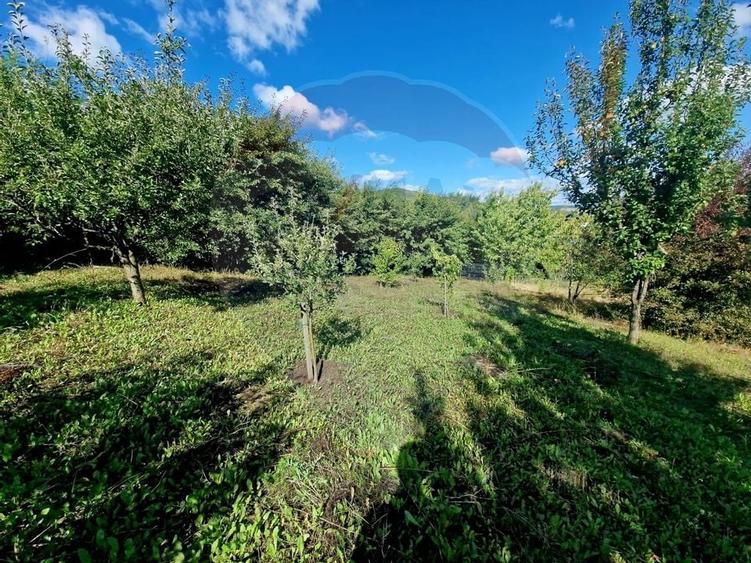 Teren 1,000mp Piatra-Neamt / Strada Pietrelor - 13