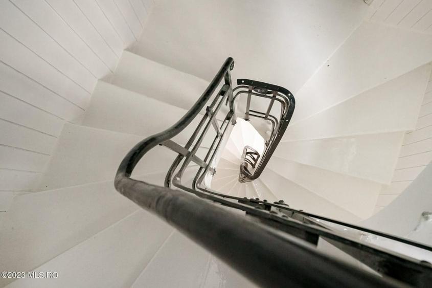 COTROCENI-GRADINA BOTANICA STUDIO LA CHEIE, 33 MP! - 3