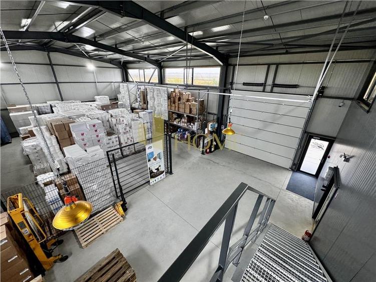 Vanzare hala industriala cu platforma betonata, in Paulestii Noi, acces tir - 3