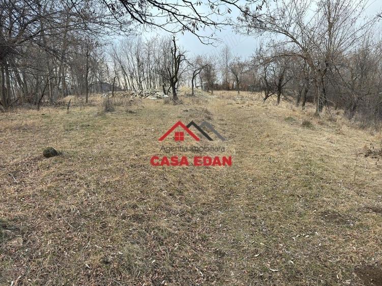 Casă cu Teren 3074 Mp în Cornu