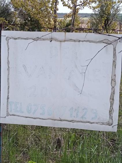 Vand casa in localitatea Albesti si teren intravilan - 8